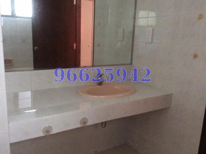 Balestier Regency (D12), Apartment #66879252